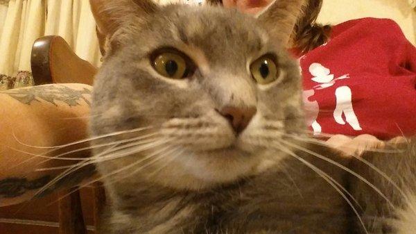 photo of Christine C.