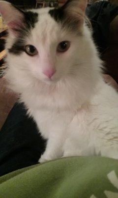 Photo of Mandy G.