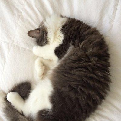 Photo of Kitty K.