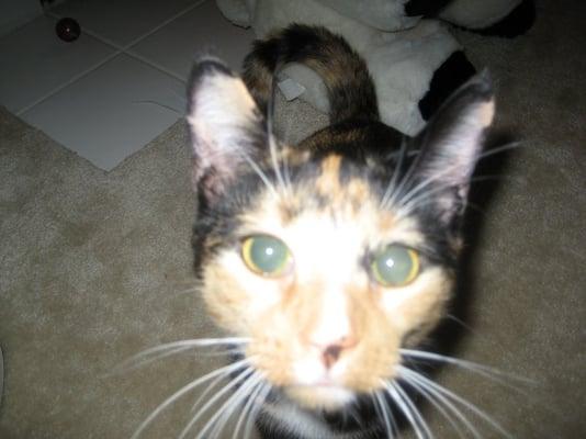 Photo of Cyndy S.