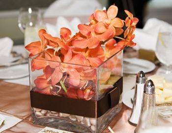 photo of Princess B.