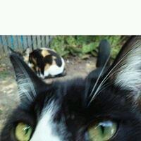 Photo of Discodave M.