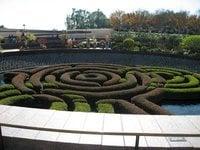 photo of Jeanette A.