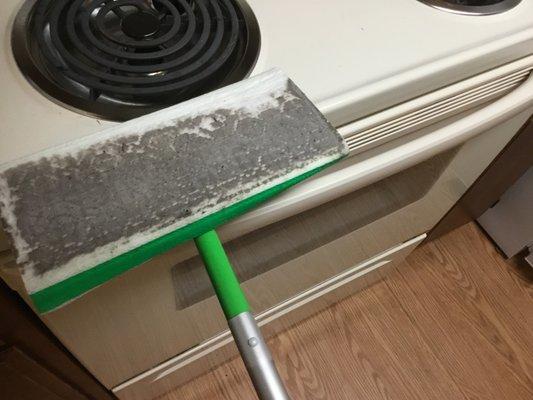 Photo of Lorraine N.