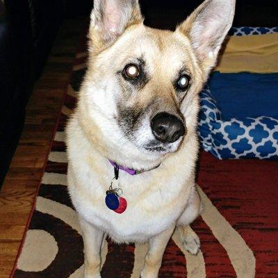Photo of Jill D.