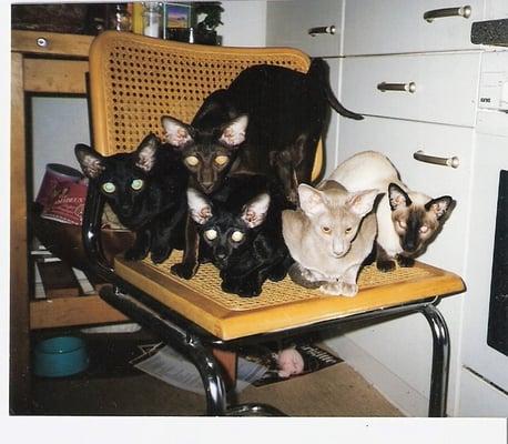 photo of Bernadette F.