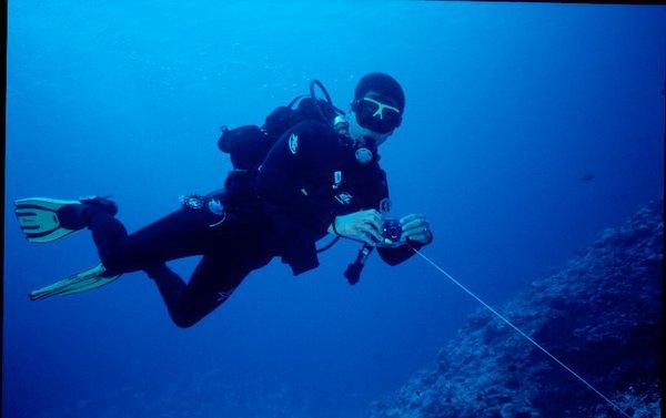 Photo of Stephen W.