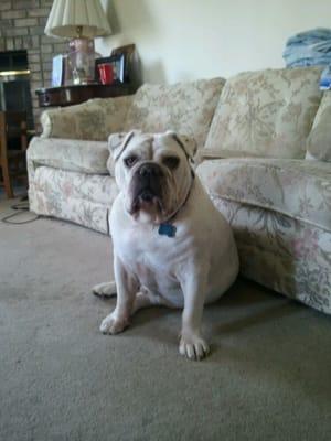 Photo of Polly R.