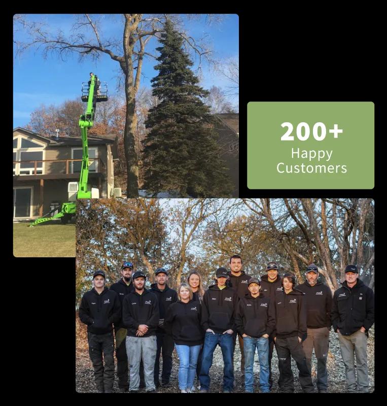 Nwi Tree Service & Landscaping