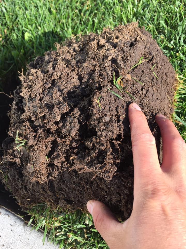 Hardy Landscape Services