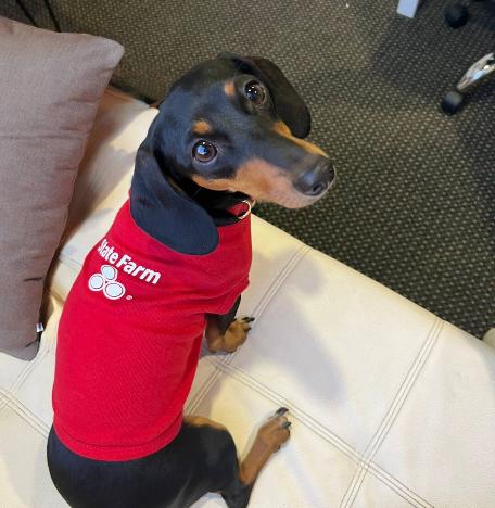 Kyle Buzzard - State Farm Insurance Agent