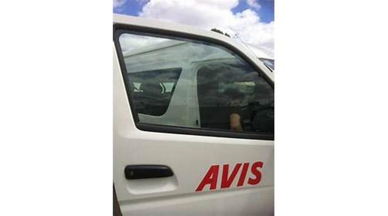 Avis Truck and Van Adelaide