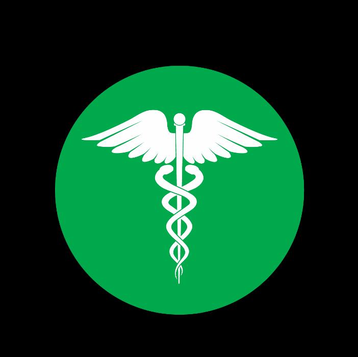 Healing Arts Institute of South Florida International, Inc