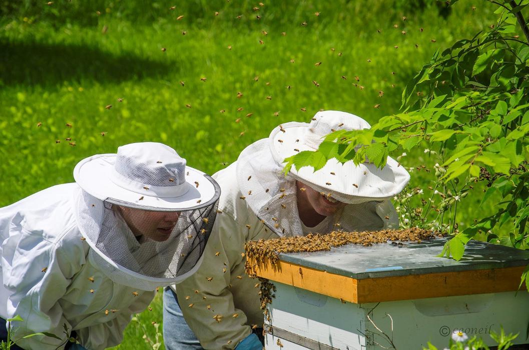 Autumn Morning Farm Beekeeping Supplies