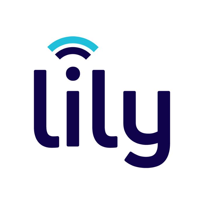 Lily - The Home of Digital Transformation