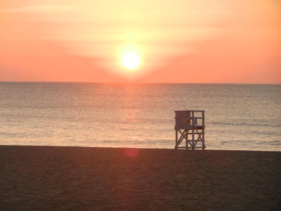 Find Life and See LLC