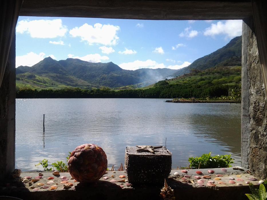 International Mediation Services