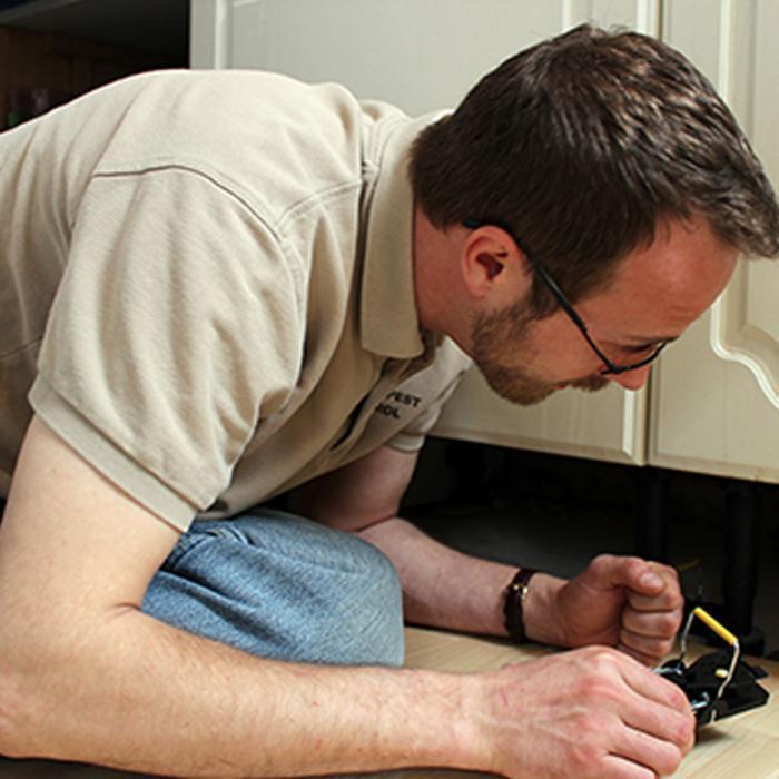 The County Pest Control