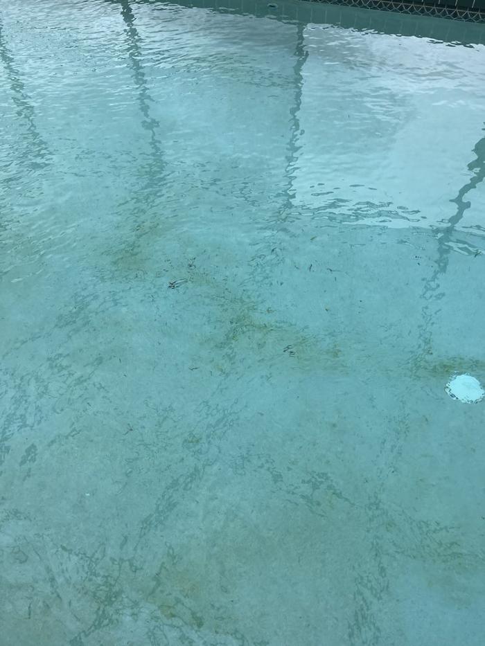 Pinch A Penny Pool Patio Spa