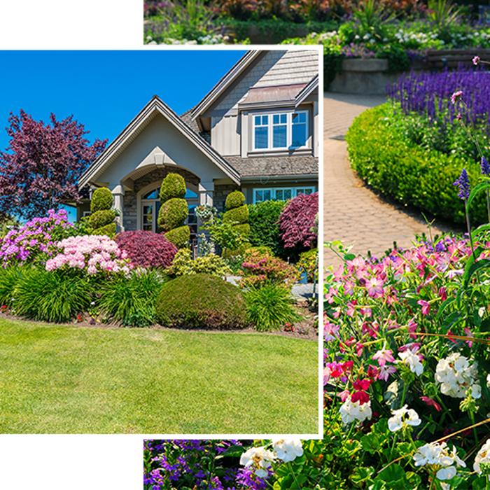 Nueva Vista Landscaping and Irrigation Systems LLC