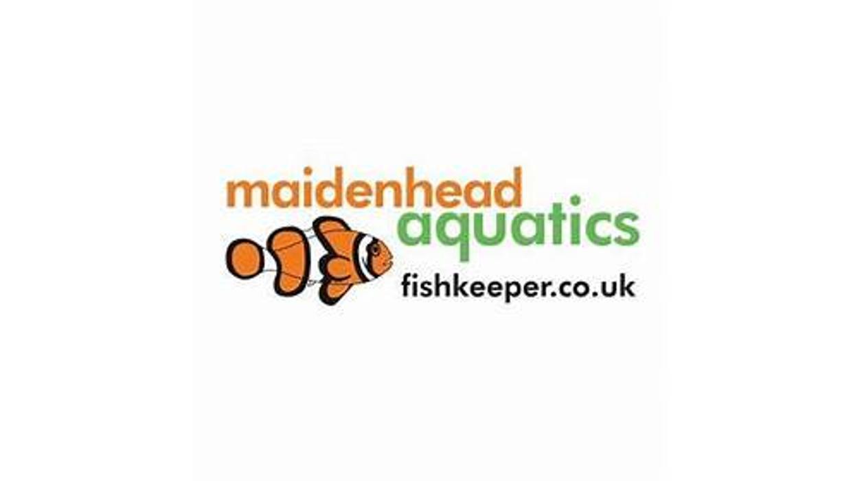 Maidenhead Aquatics Derby