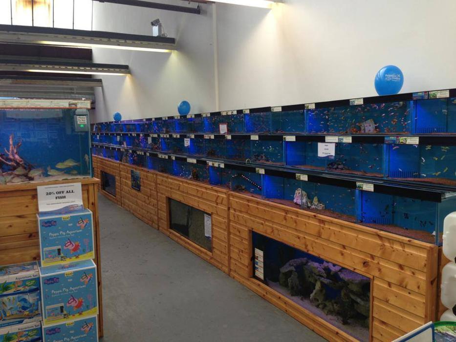 Fishkeeper Glasgow (Coatbridge)