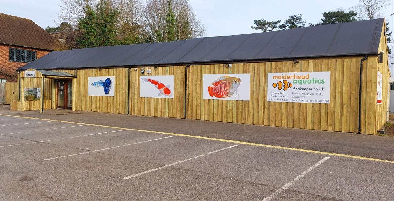 Maidenhead Aquatics Hare Hatch