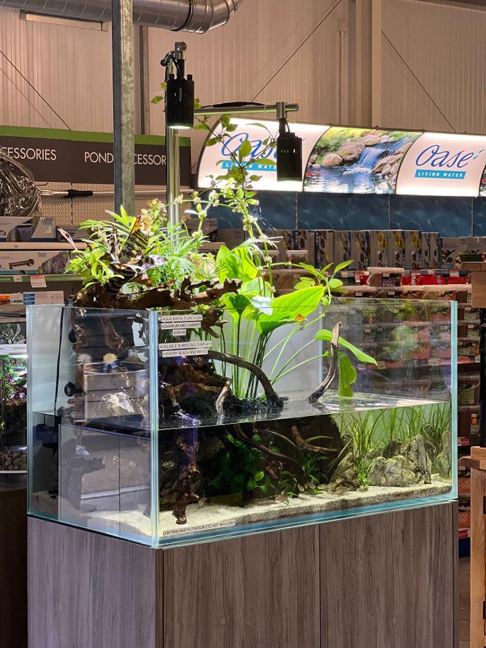 Maidenhead Aquatics Farnham