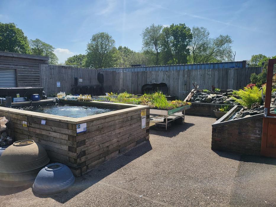 Maidenhead Aquatics Weybridge