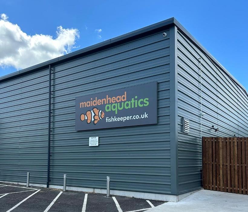 Maidenhead Aquatics Rokers