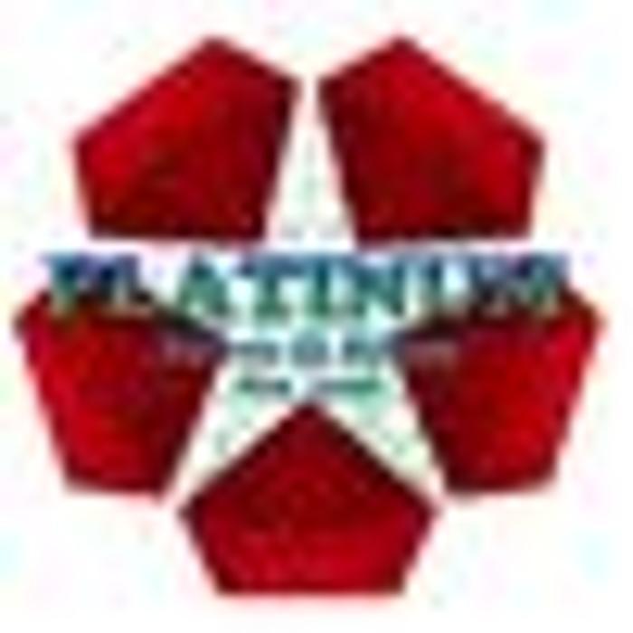 Platinum Paver and Stone LLC