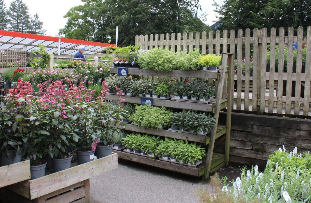 Hillier Garden Centre Winchester