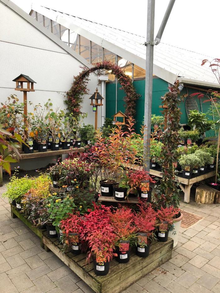 Hillier Garden Centre Horsham