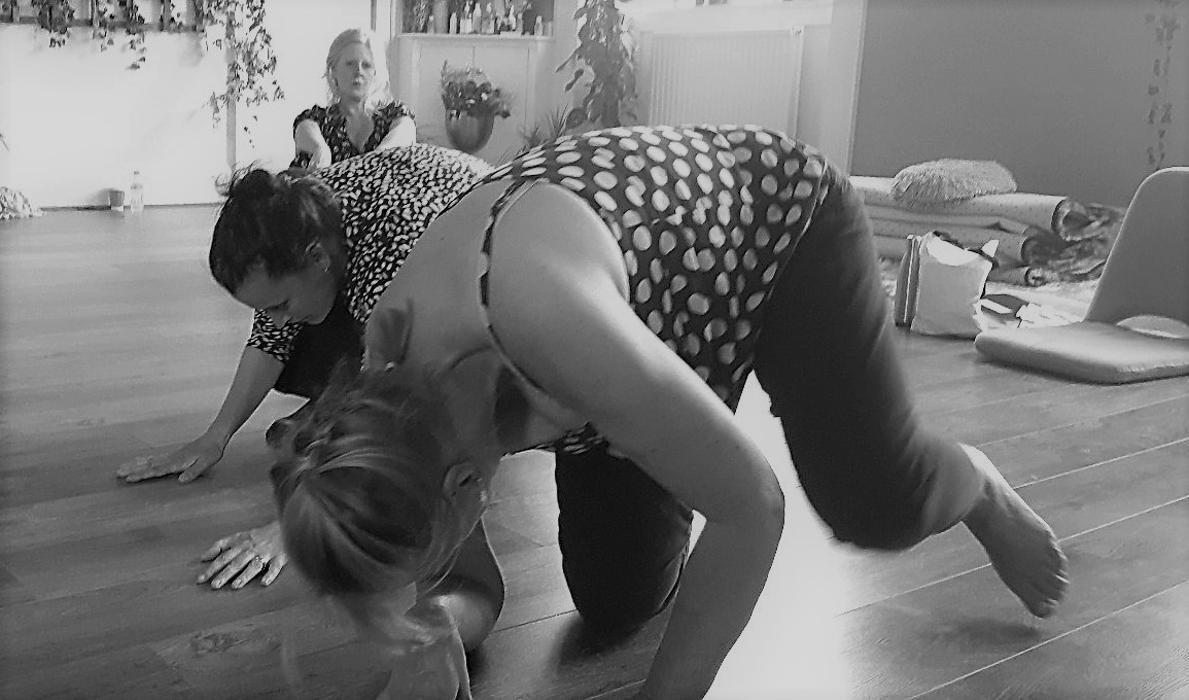 The Association for Somatic Moving & Dancing Therapies