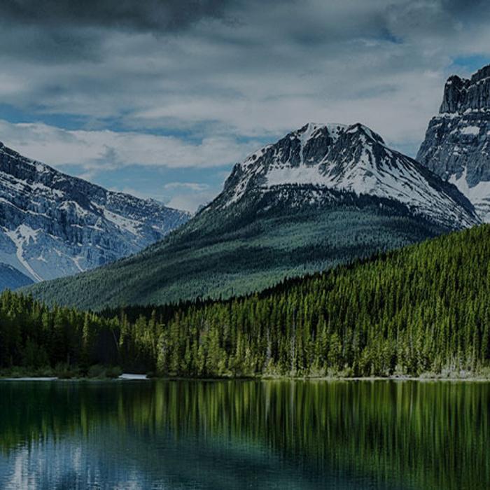 Assante Capital Management LTD.