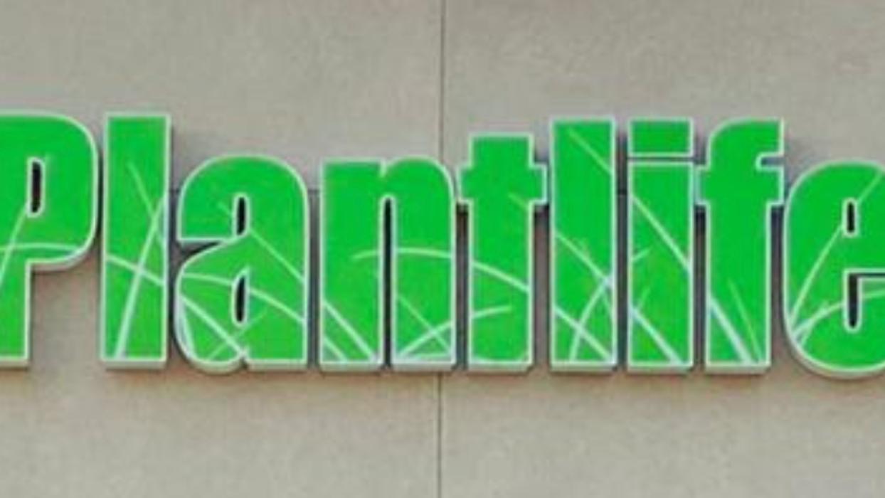 Plantlife Cannabis Sunwapta Edmonton