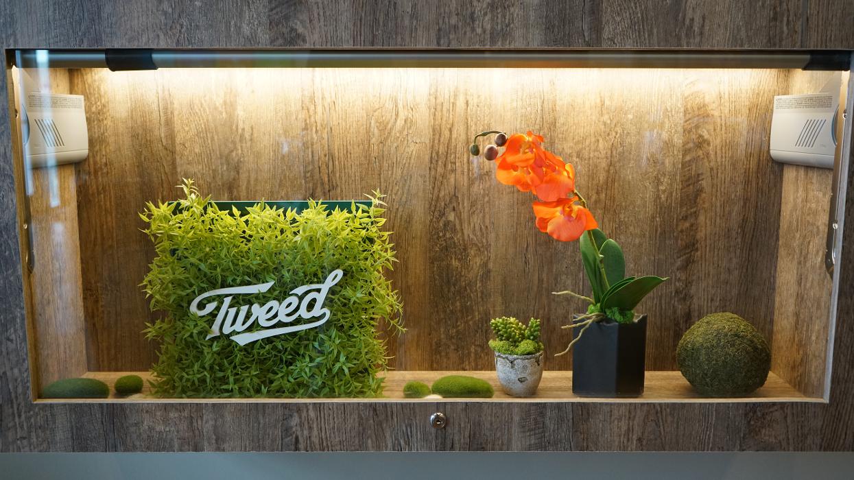 Plantlife Cannabis Windermere Crossing Edmonton