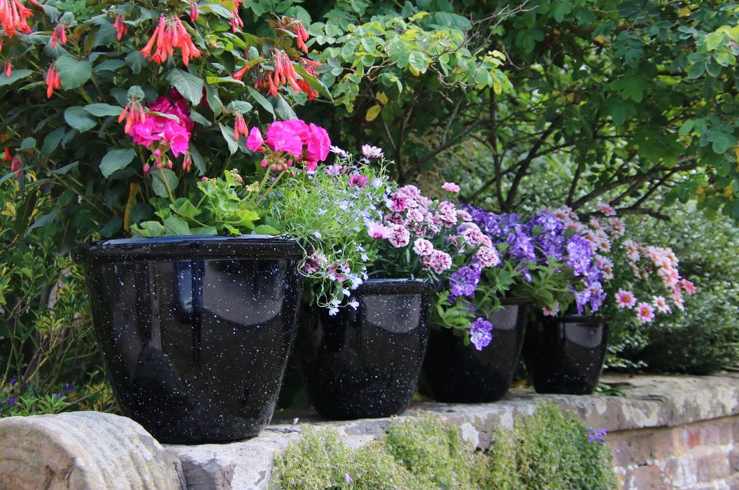 Distinctive Planters