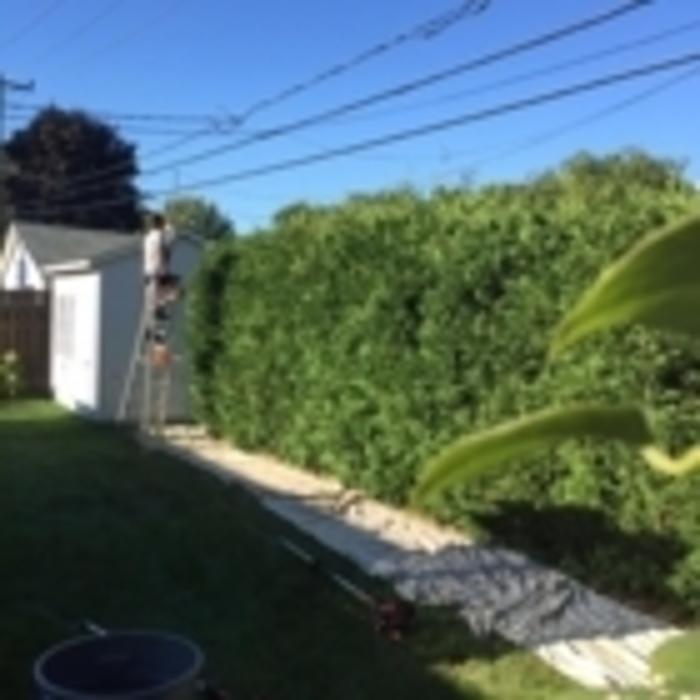 Les Créations Eric Dorion