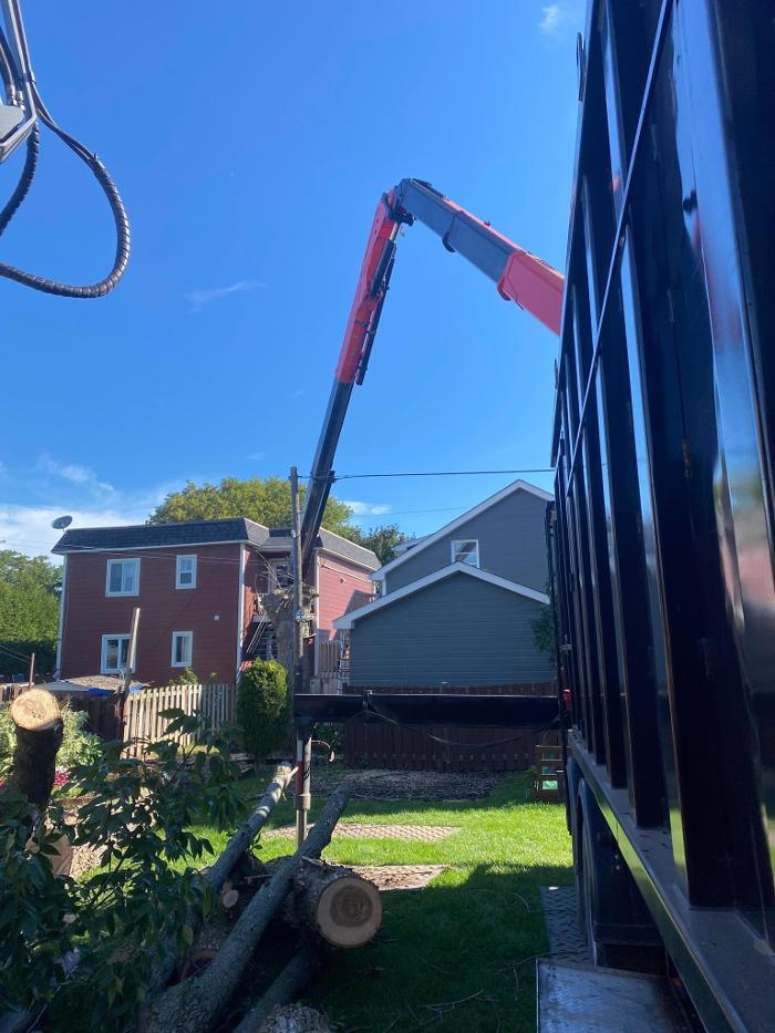 Émondage et Abattage Gauthier