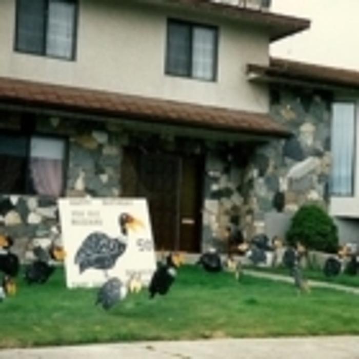 Turf Tiding & Clowning Around