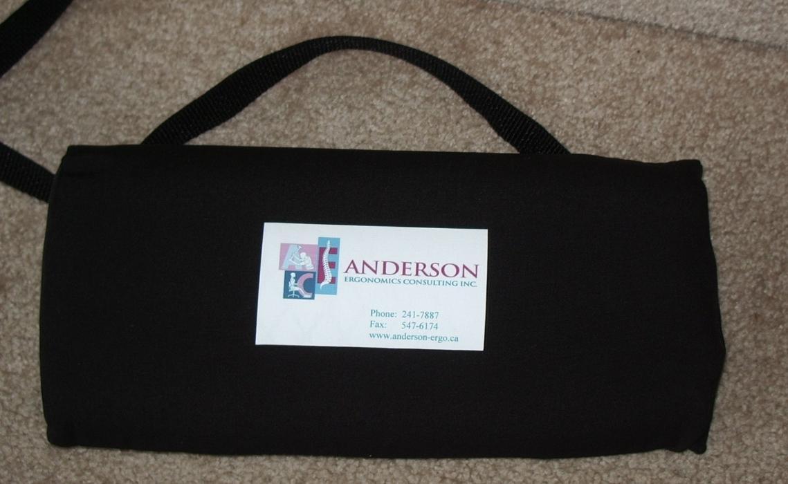 Anderson Ergonomics Consulting Inc