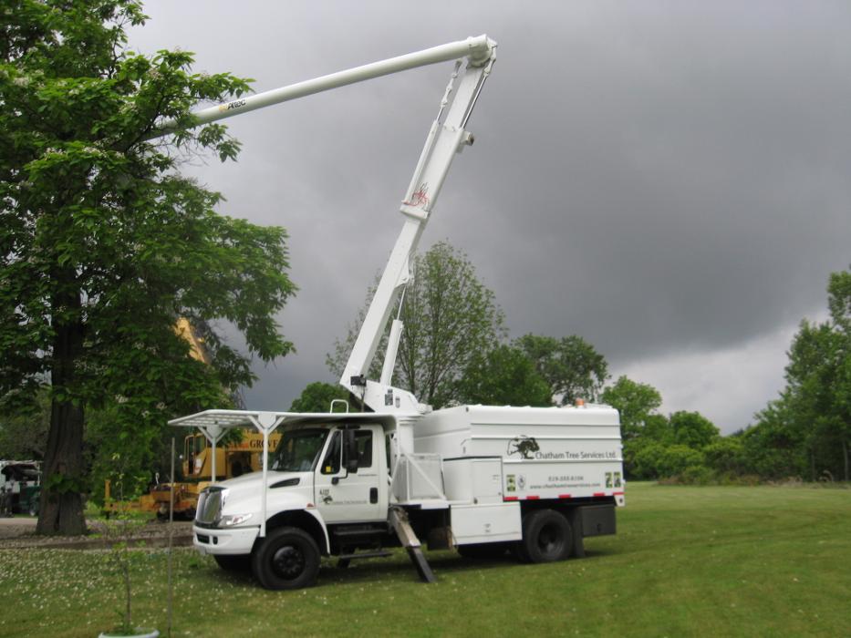 Chatham Tree Services Ltd