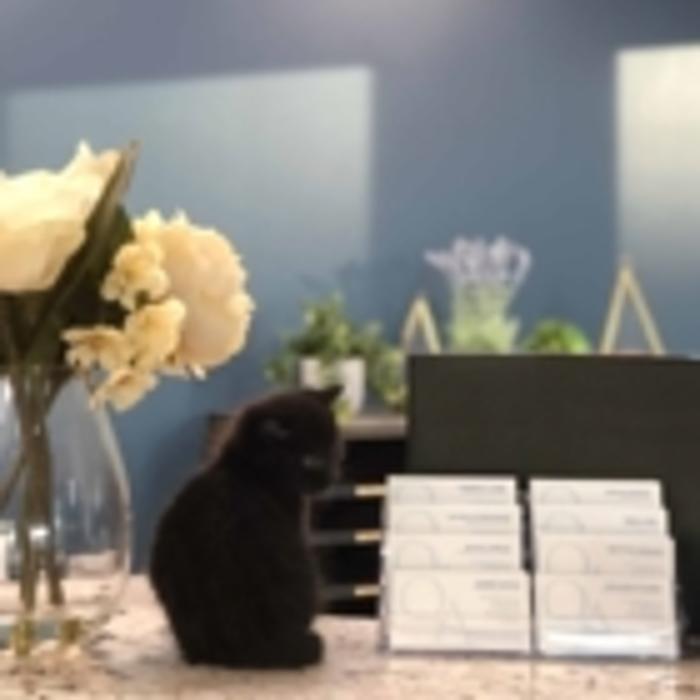 Queck & Associates Law Office