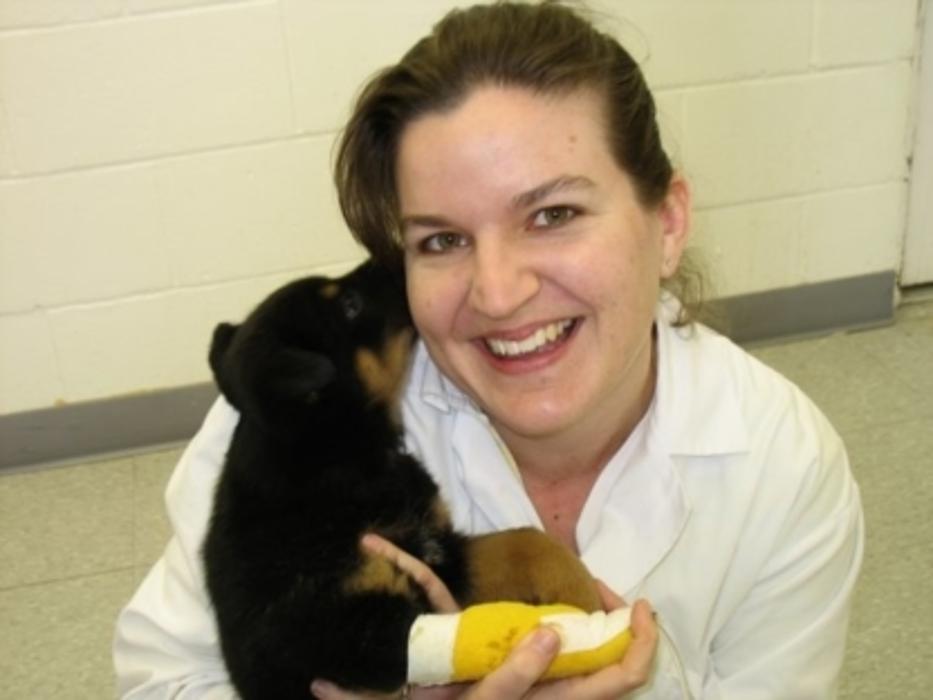 Snelgrove Veterinary Services