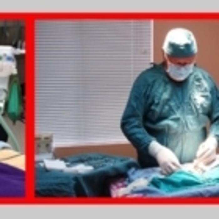 Madeira Park Veterinary Hospital Ltd