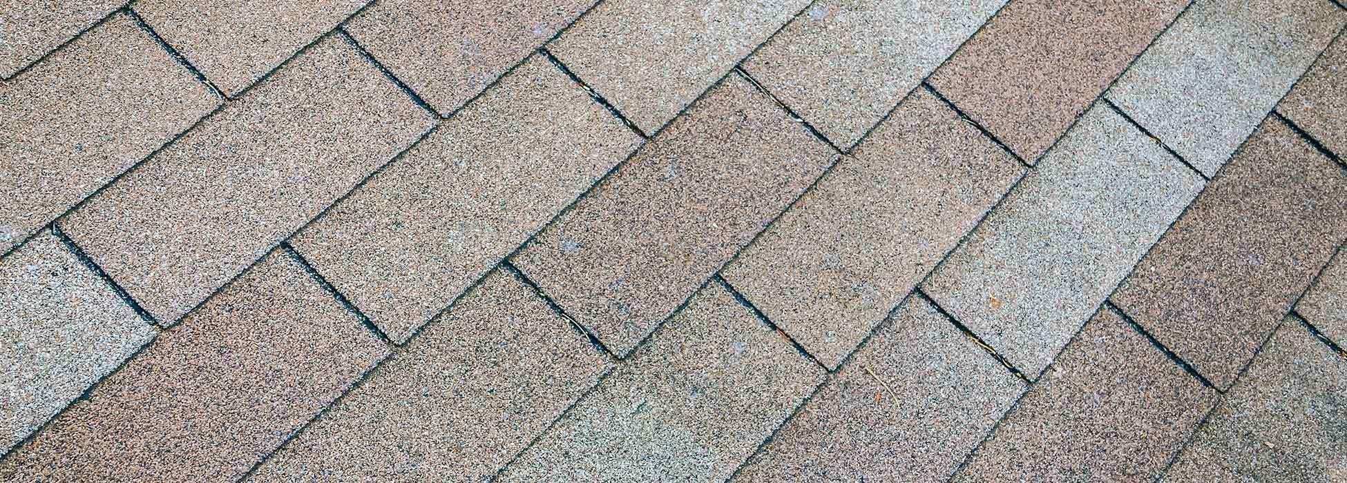 Raney Building Supplies Inc