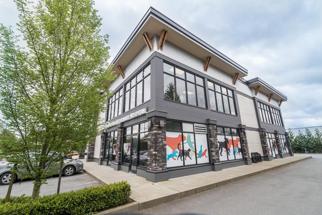 Head To Tail Veterinary Hospital