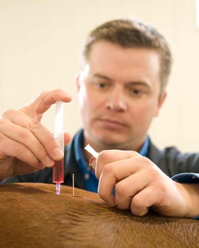 Prairie Animal Health Centre