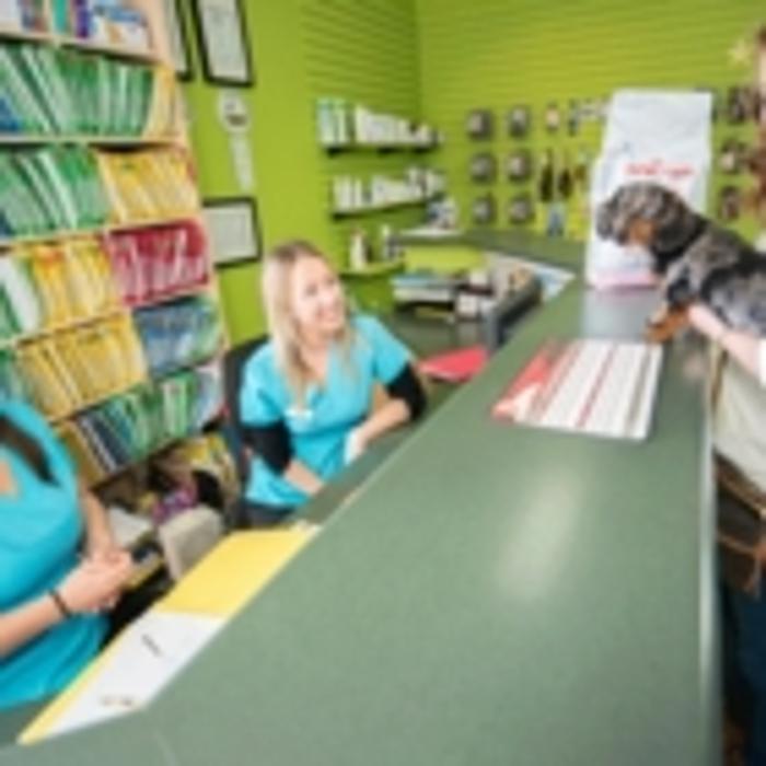 Royal Oak Pet Clinic